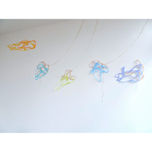Muselets Installation 2