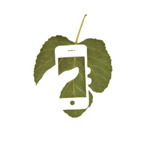 Fb mit Hand iPhone 2 neg 25x20 cm