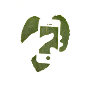 Fb mit Hand iPhone 3 neg 25x20 cm