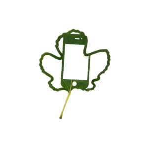 Fb mit iPhone 2 32x25 cm