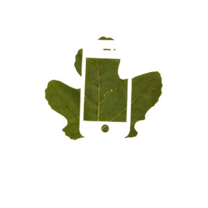 Fb mit iPhone 2 neg 25x20 cm