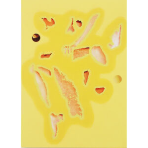 Froschkönig 9 40x28.5 cm.jpg