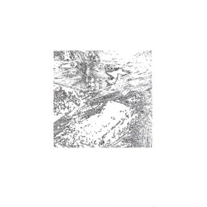 EF 01