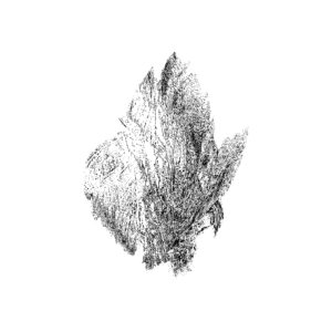 EF 04