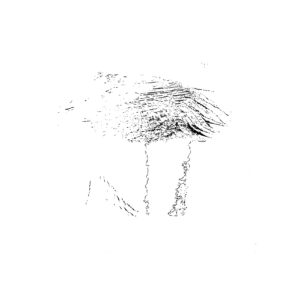 EF 09