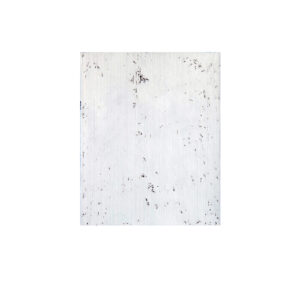 EF 22 35x 27.5 cm