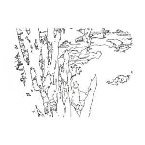 Kü nat 136