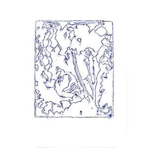 Kü nat 187