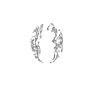 Kü nat 238